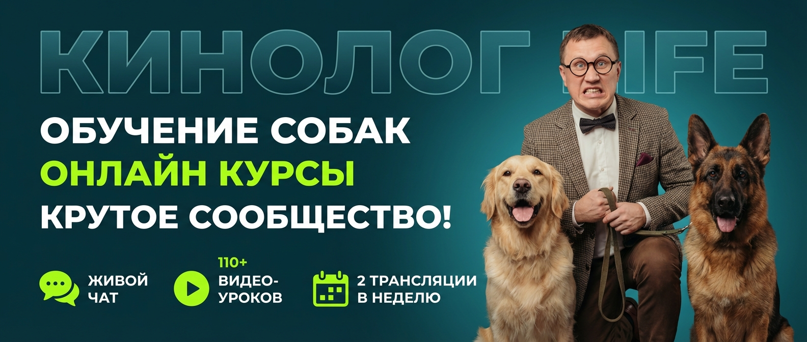 Закрытое сообщество KinologLife