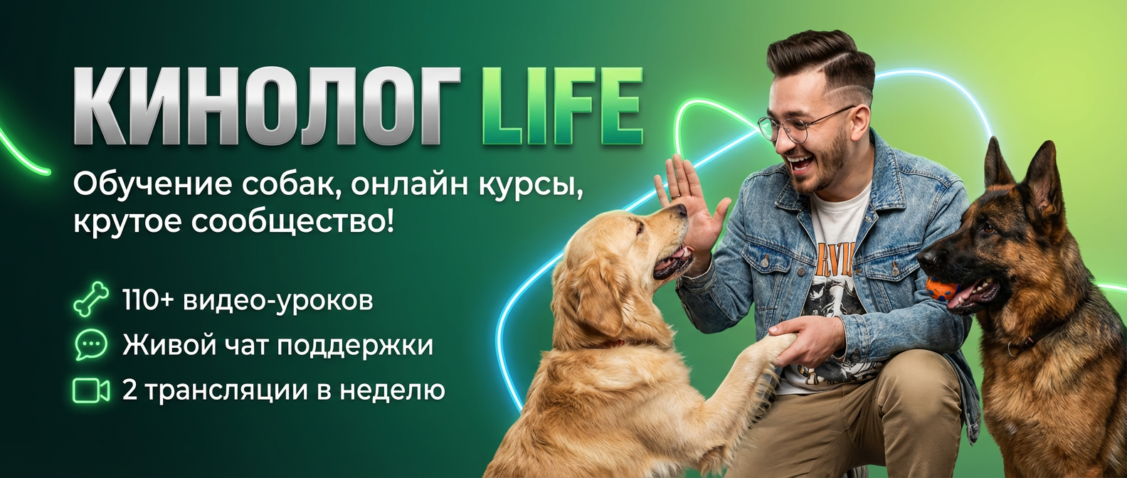 Закрытое сообщество KinologLife