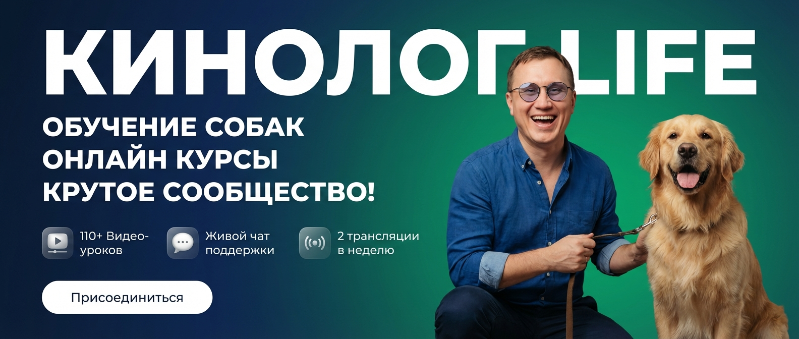 Закрытое сообщество KinologLife