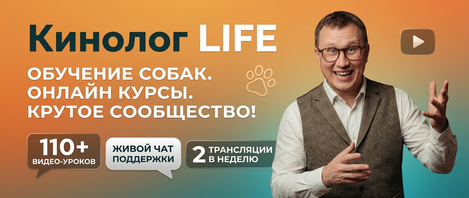 Закрытое сообщество KinologLife