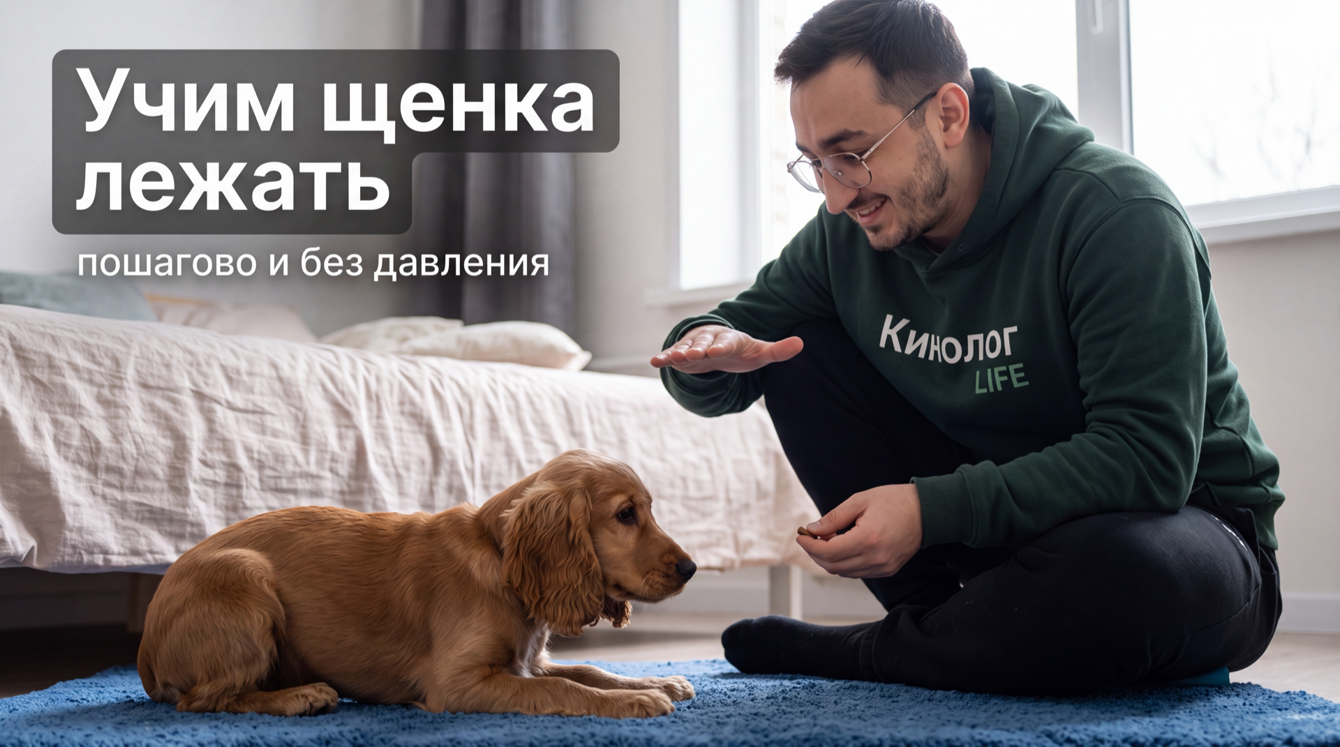 Кинолог Кинолог LIFE показывает жест лежать, щенок опускается в положение лёжа - как научить щенка команде лежать