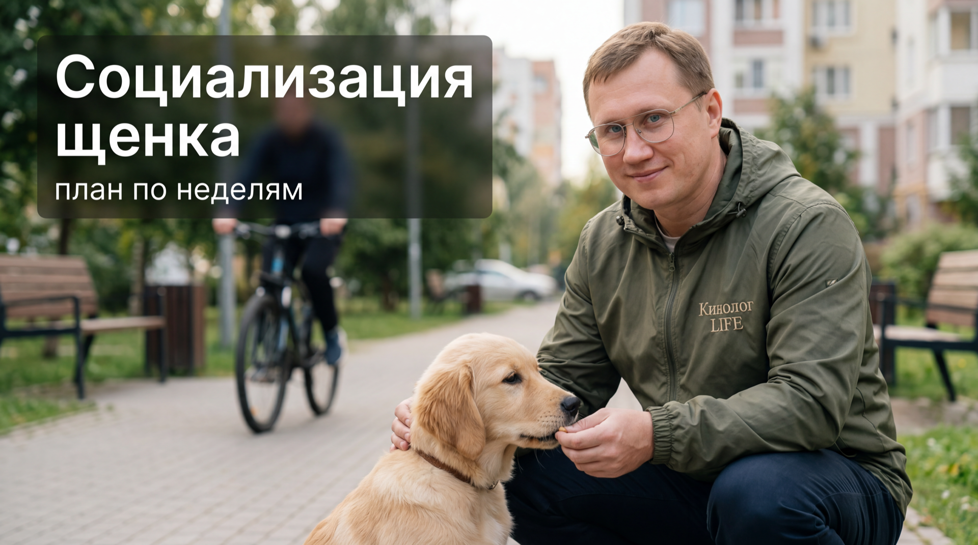 Кинолог Кинолог LIFE спокойно знакомит щенка с улицей - периоды социализации щенка