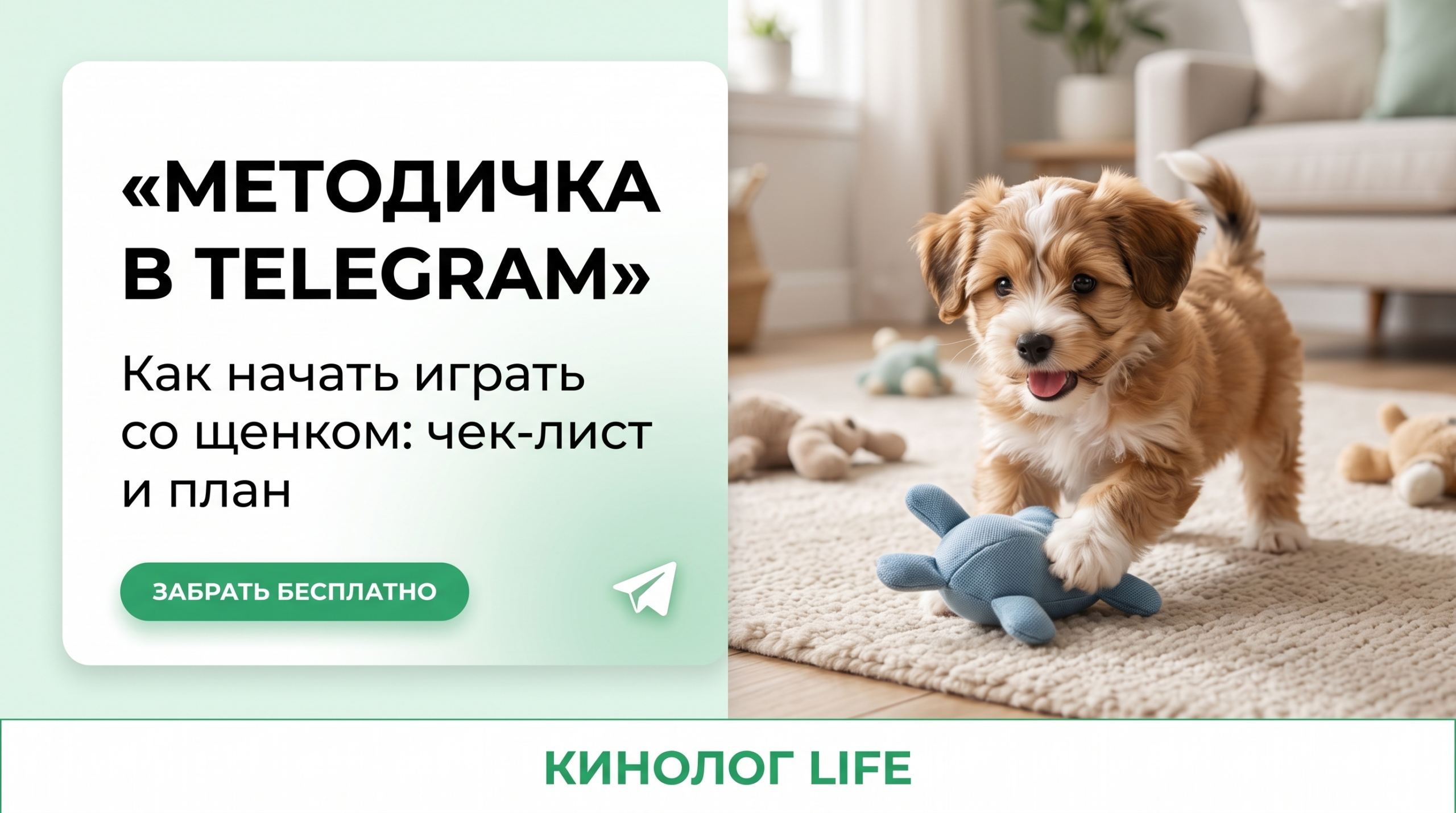 Методичка в Telegram: Как начать играть со щенком и какие игры бывают - чек-лист и план по шагам. Забрать бесплатно