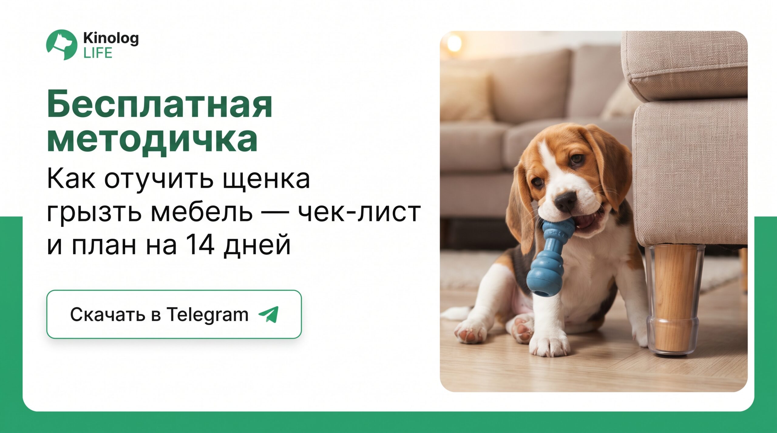 Методичка в Telegram: Как отучить щенка грызть мебель и вещи - чек-лист и план по шагам. Забрать бесплатно