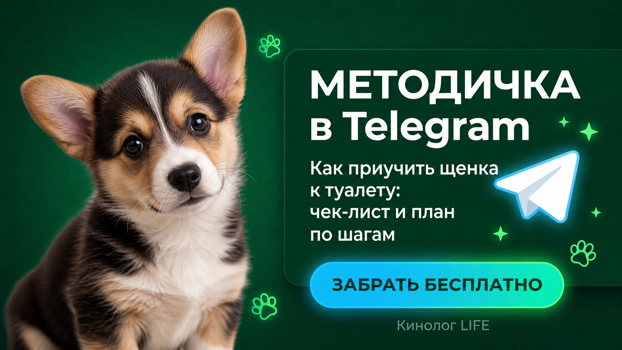 Методичка в Telegram: Как приучить щенка к туалету - чек-лист и план по шагам. Забрать бесплатно