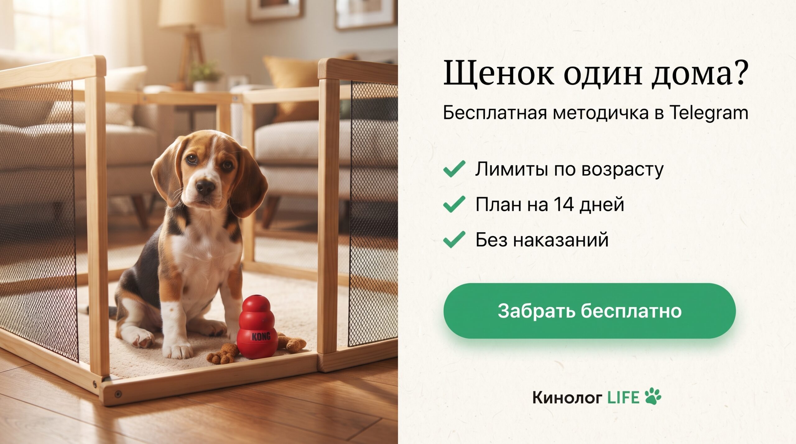 Методичка в Telegram: Щенок не может оставаться один дома - чек-лист и план по шагам. Забрать бесплатно