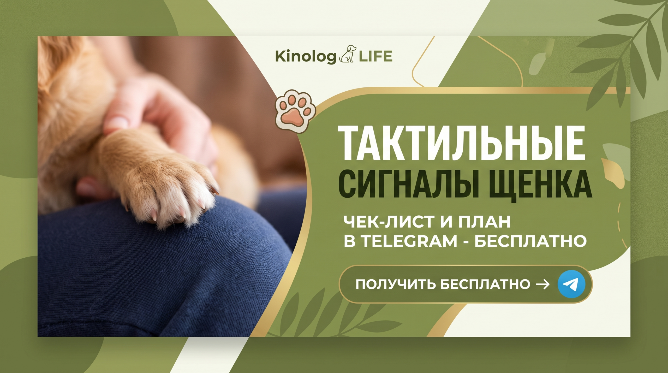 Методичка в Telegram: Тактильные сигналы щенков - чек-лист и план по шагам. Забрать бесплатно